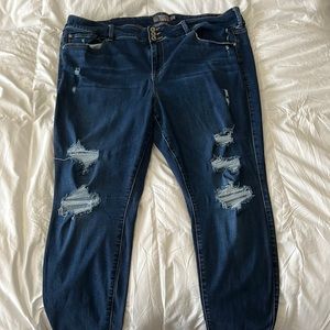 Torrid Jeans (Jeggings)